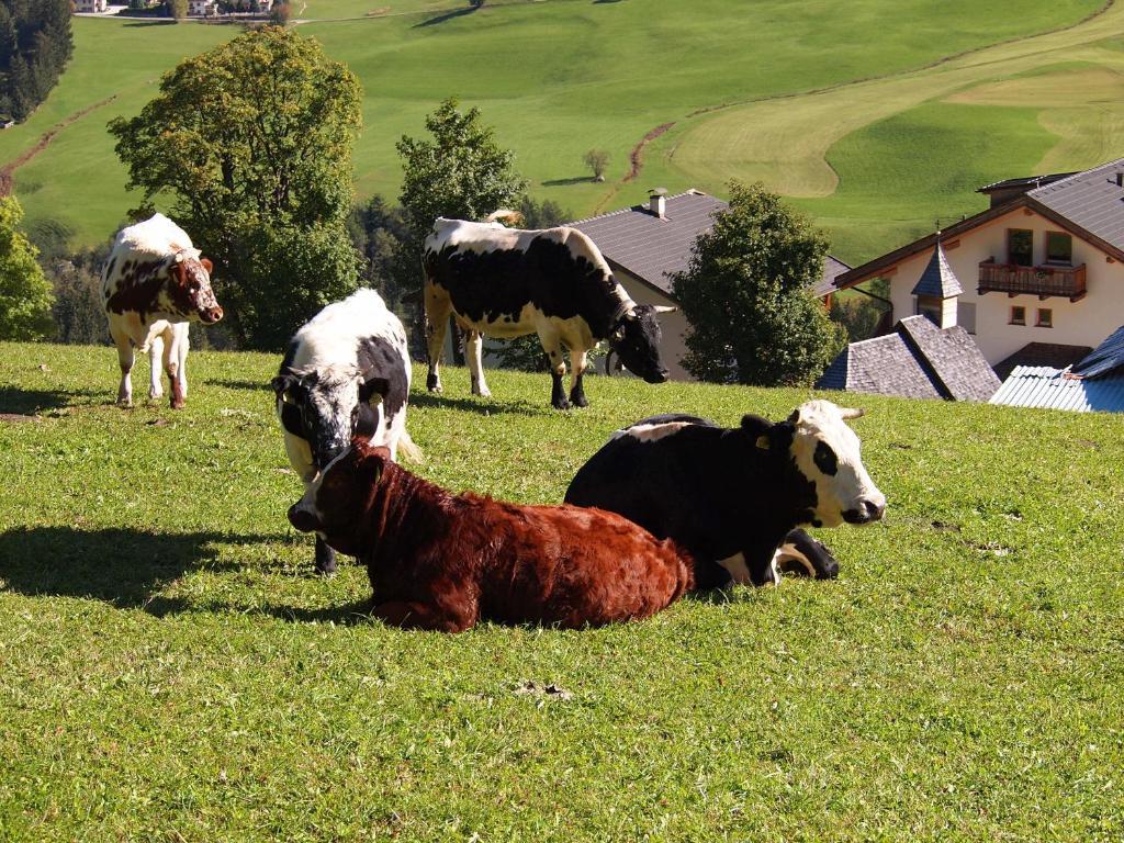 Agriturismo Paracia Villa Badia  Eksteriør billede